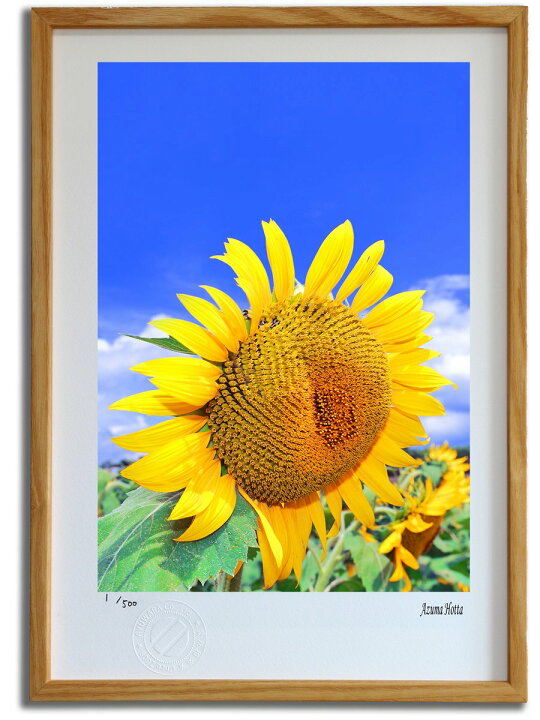 楽天市場 版画 絵画 ひまわりのある風景001 山梨 北杜市 インテリア 壁掛け 額入り 額装込 風景画 油絵 ポスター アート アートパネル リビング 玄関 プレゼント モダン アートフレーム おしゃれ 飾る Mサイズ 巣ごもり 絵画 壁飾り 風景専門店あゆわら