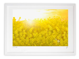 yX[p[SALE50OFFzŉ G؂̉ԔƑz01/CeA z z i G |X^[ A[g A[gpl rO  v[g _ A[gt[   Ǌ|
