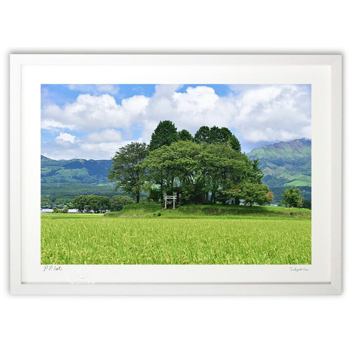 楽天市場】版画 鎮守の森 (mitan) インテリア 壁掛け 額入り 風景画 