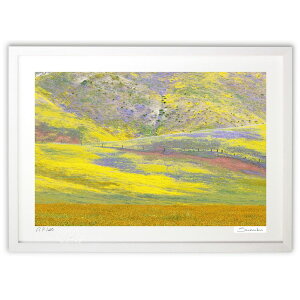 �ŉ� �t�̃J���[�]�v���C�� (Sumiko Scott)