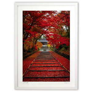 ŉ gtƗtO~ (K.Osuka)CeA Ǌ| z i |X^[ A[g rO ւɏ  v[g _ A[gt[