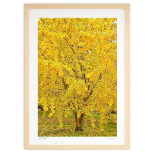 �ŉ� �C�`���E�̖� (mitan)�C���e���A �Ǌ|�� �z���� ���i�� �|�X�^�[ �A�[�g ���r���O ���ւɏ��� ���� �v���[���g ���_�� �A�[�g�t���[��