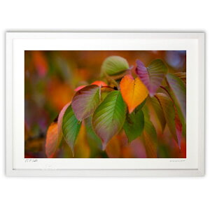 �ŉ� ���t�̋� (bluewoods07)�C���e���A �Ǌ|�� �z���� ���i�� �|�X�^�[ �A�[�g ���r���O ���ւɏ��� ���� �v���[���g ���_�� �A�[�g�t���[��