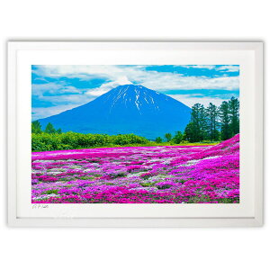 ŉ rRƎō (Ȃ)CeA Ǌ| z i |X^[ A[g rO ւɏ  v[g _ A[gt[