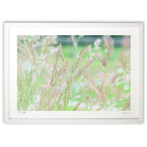 ŉ JF (RR)CeA Ǌ| z i |X^[ A[g rO ւɏ  v[g _ A[gt[