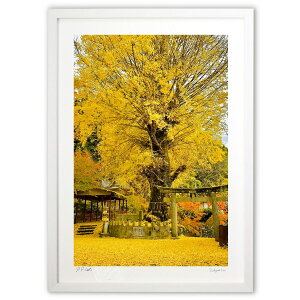 ŉ FH (mitan)CeA Ǌ| z i |X^[ A[g rO ւɏ  v[g _ A[gt[