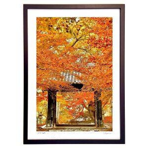 �ŉ� �g�t�ƍ���4 (mitan)�C���e���A �Ǌ|�� �z���� ���i�� �|�X�^�[ �A�[�g ���r���O ���ւɏ��� ���� �v���[���g ���_�� �A�[�g�t���[��