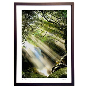 ŉ ^Ă̌ (mitan)CeA Ǌ| z i |X^[ A[g rO ւɏ  v[g _ A[gt[