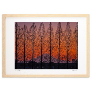 ŉ ^ZRCAz̃}WbNA[̕xmR (a)