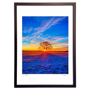 ŉ nj̖؂̌䗈 (gan.iwaiwa)