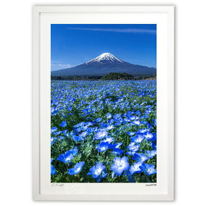 yX[p[SALEzzŉ E (yuya0240)CeA Ǌ| z i |X^[ A[g rO ւɏ  v[g _ A[gt[