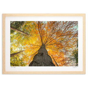 ŉ R (MINS)CeA Ǌ| z i |X^[ A[g rO ւɏ  v[g _ A[gt[