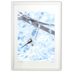 ŉ X̐X (mariko.s)CeA Ǌ| z i |X^[ A[g rO ւɏ  v[g _ A[gt[