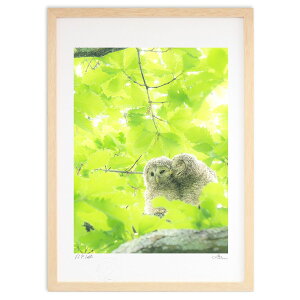 ŉ ₳ (mariko.s)CeA Ǌ| z i |X^[ A[g rO ւɏ  v[g _ A[gt[