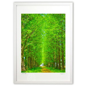 ŉ V΂̃^ZRCA (a)CeA Ǌ| z i |X^[ A[g rO ւɏ  v[g _ A[gt[