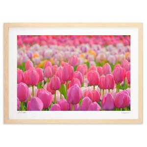 yX[p[SALEzzŉ sÑ`[bv (h)CeA Ǌ| z i |X^[ A[g rO ւɏ  v[g _ A[gt[