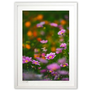 ŉ J̃RXX (bluewoods07)CeA Ǌ| z i |X^[ A[g rO ւɏ  v[g _ A[gt[