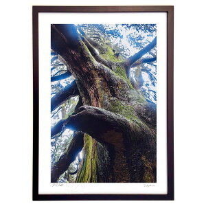 ŉ  (mitan)CeA Ǌ| z i |X^[ A[g rO ւɏ  v[g _ A[gt[