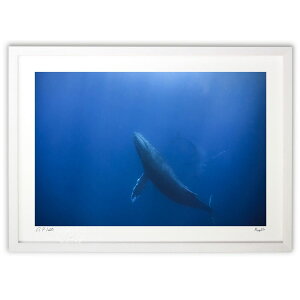 ŉ C̒̋Y (Ray.H)CeA Ǌ| z i |X^[ A[g rO ւɏ  v[g _ A[gt[