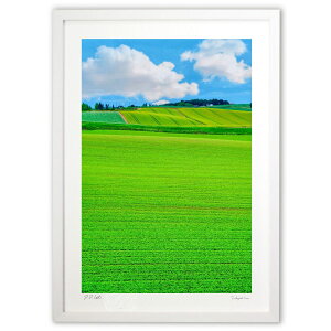 ŉ ȖkC̑ (blackswan)