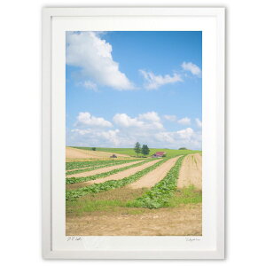 ŉ Ă̔l ({ \i)CeA Ǌ| z i |X^[ A[g rO ւɏ  v[g _ A[gt[