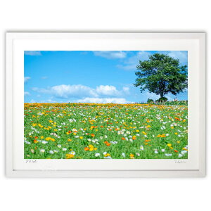 ŉ ̉Ԕ (crazetaka)CeA Ǌ| z i |X^[ A[g rO ւɏ  v[g _ A[gt[