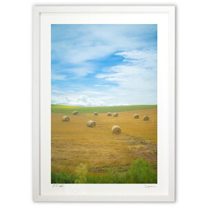 ŉ qꃍ[ ({ \i)CeA Ǌ| z i |X^[ A[g rO ւɏ  v[g _ A[gt[