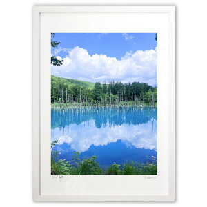 ŉ r ({ \i)CeA Ǌ| z i |X^[ A[g rO ւɏ  v[g _ A[gt[