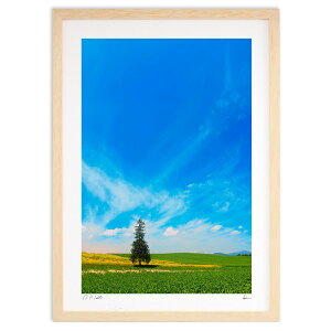 ŉ uɗ{̖ (L)CeA Ǌ| z i |X^[ A[g rO ւɏ  v[g _ A[gt[