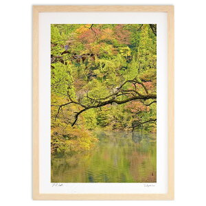 ŉ F̏H (mitan)CeA Ǌ| z i |X^[ A[g rO ւɏ  v[g _ A[gt[