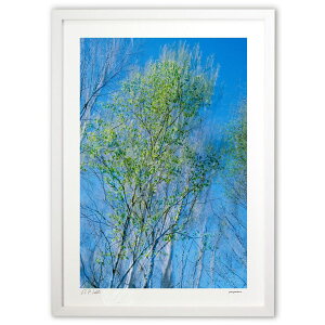 ŉ V΂̔ (zx)CeA Ǌ| z i |X^[ A[g rO ւɏ  v[g _ A[gt[