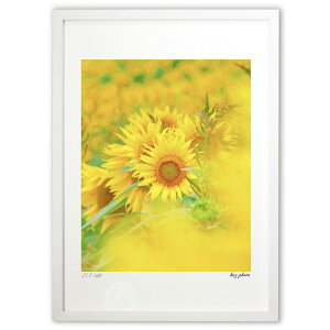 ŉ Ђ܂ (kaz photo)CeA Ǌ| z i |X^[ A[g rO ւɏ  v[g _ A[gt[