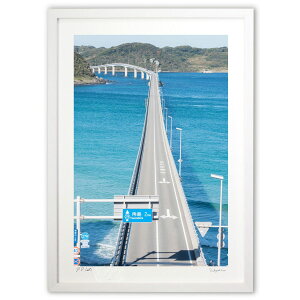 ŉ p勴 ({ \i)CeA Ǌ| z i |X^[ A[g rO ւɏ  v[g _ A[gt[