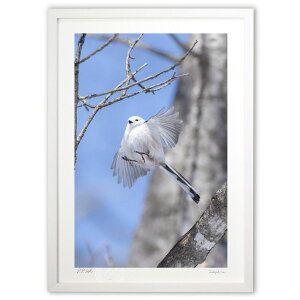 ŉ ̗d ({ \i)CeA Ǌ| z i |X^[ A[g rO ւɏ  v[g _ A[gt[