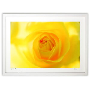 ŉ 炩Ȍ̒ (Kite)CeA Ǌ| z i |X^[ A[g rO ւɏ  v[g _ A[gt[