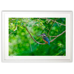 ŉ ΂̒ňx (Kite)CeA Ǌ| z i |X^[ A[g rO ւɏ  v[g _ A[gt[