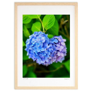 【抽選ポイント100%バック】版画 紫陽花 (Rito)インテリア 壁掛け 額入り 風景画 ポスター アート リビング 玄関に飾る 風水 プレゼント モダン アートフレーム