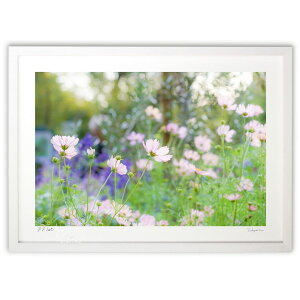 ŉ ₳H (SHIROIRO) CeA Ǌ| z i |X^[ A[g rO ւɏ  v[g _