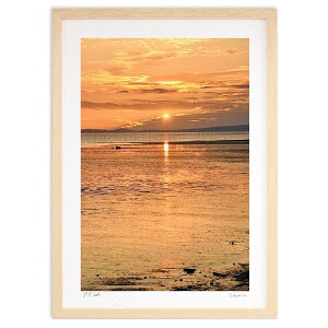 ŉ H[z (mitan)CeA Ǌ| z i |X^[ A[g rO ւɏ  v[g _ A[gt[