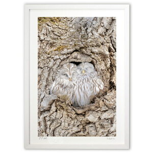 ŉ G]tNE ({ \i)CeA Ǌ| z i |X^[ A[g rO ւɏ  v[g _ A[gt[