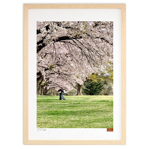 【抽選ポイント100%バック】版画 静寂の桜 (ともさん)インテリア 壁掛け 額入り 風景画 ポスター アート リビング 玄関に飾る 風水 プレゼント モダン アートフレーム