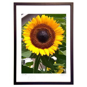 yI|Cg100obNzŉ Ђ܂ (}_800)CeA Ǌ| z i |X^[ A[g rO ւɏ  v[g _ A[gt[