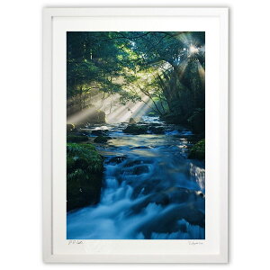 ŉ {C̃V[ (mitan)CeA Ǌ| z i |X^[ A[g rO ւɏ  v[g _ A[gt[