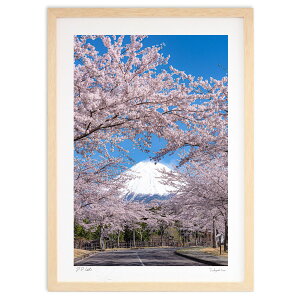 ŉ ̊z (Takuyan_cancellara)CeA Ǌ| z i |X^[ A[g rO ւɏ  v[g _ A[gt[