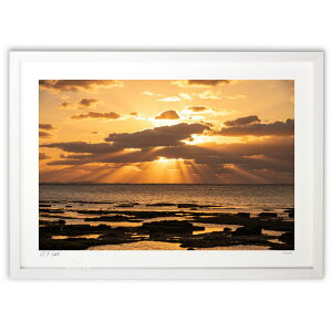 ŉ Vg̒q (Kazuhiko Gushiken)CeA Ǌ| z i |X^[ A[g rO ւɏ  v[g _ A[gt[