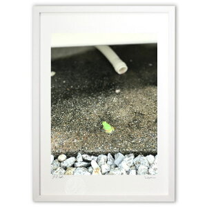 ŉ ߂ (܂)CeA Ǌ| z i |X^[ A[g rO ւɏ  v[g _ A[gt[