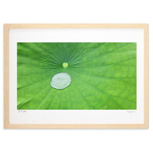 ŉ @̗t (񂿂)CeA Ǌ| z i |X^[ A[g rO ւɏ  v[g _ A[gt[