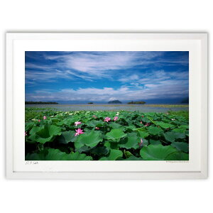 ŉ @̍Ai΂̂܂Ȃ (ramble)CeA Ǌ| z i |X^[ A[g rO ւɏ  v[g _ A[gt[