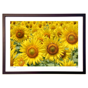 yI|Cg100obNzŉ Ђ܂̊y (Bluelabo)CeA Ǌ| z i |X^[ A[g rO ւɏ  v[g _ A[gt[