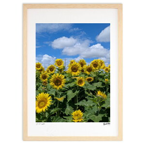 yI|Cg100obNzŉ ̂Ђ܂ (Bluelabo)CeA Ǌ| z i |X^[ A[g rO ւɏ  v[g _ A[gt[